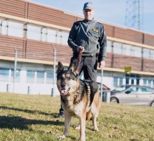 Säkerhetsföretag  så väljer du rätt partner för trygghet och skydd