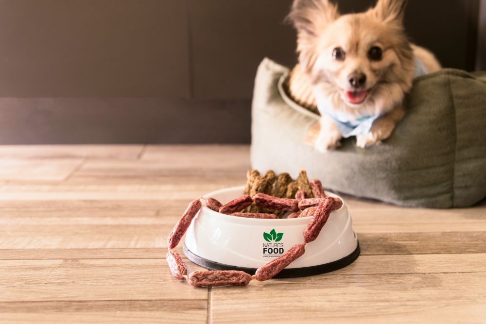 Hundfoder  så väljer du rätt mat för din hund
